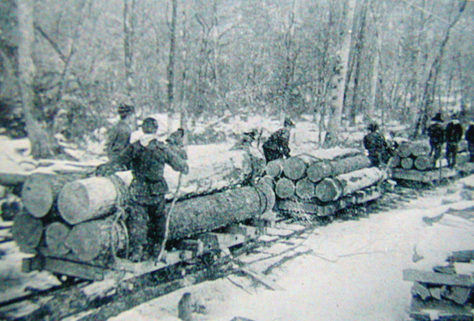 01 从森林中采伐的木材用小轨道运往木材场集中