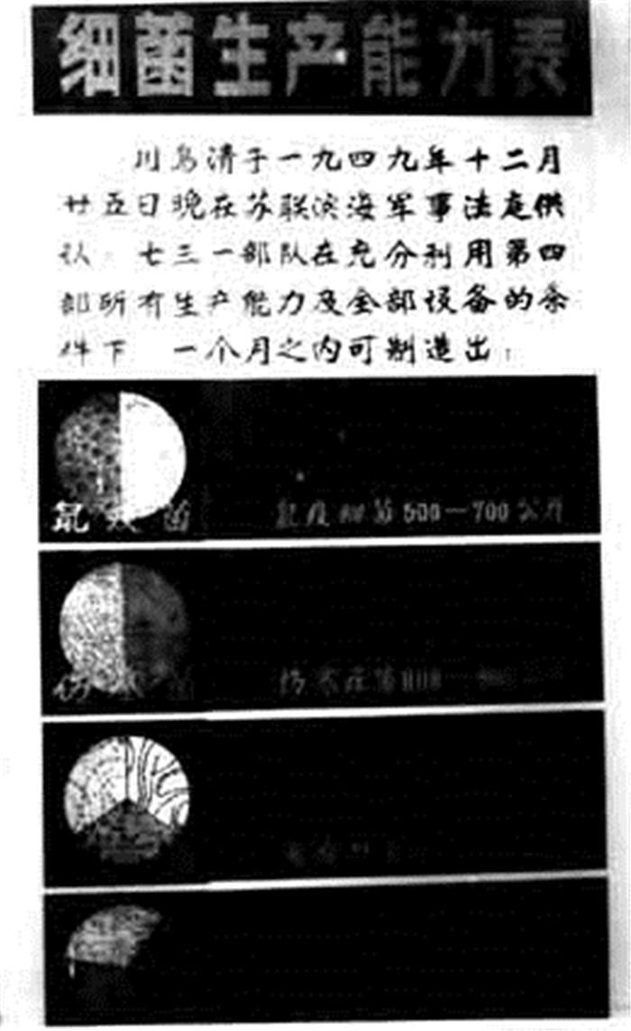 细菌生产能力表。