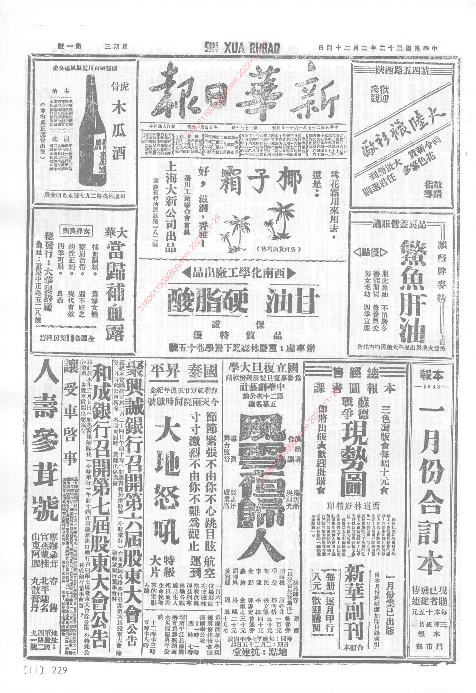 《新华日报》1943年2月24日